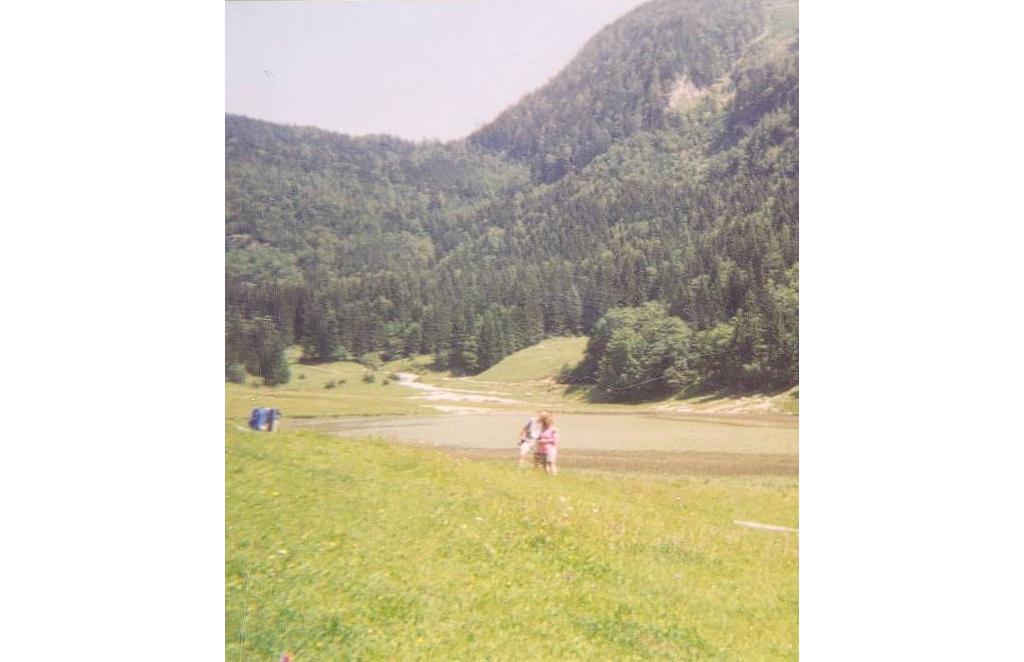 Haleswiessee