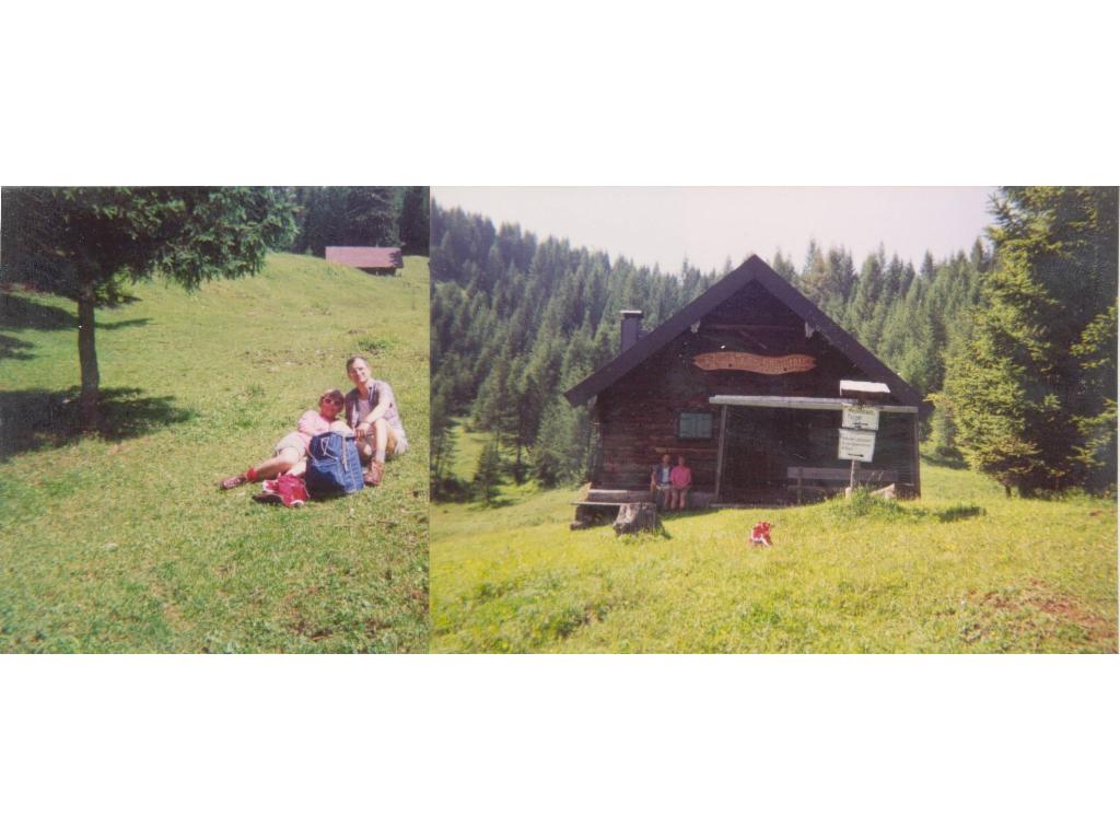 Meisterebenalm