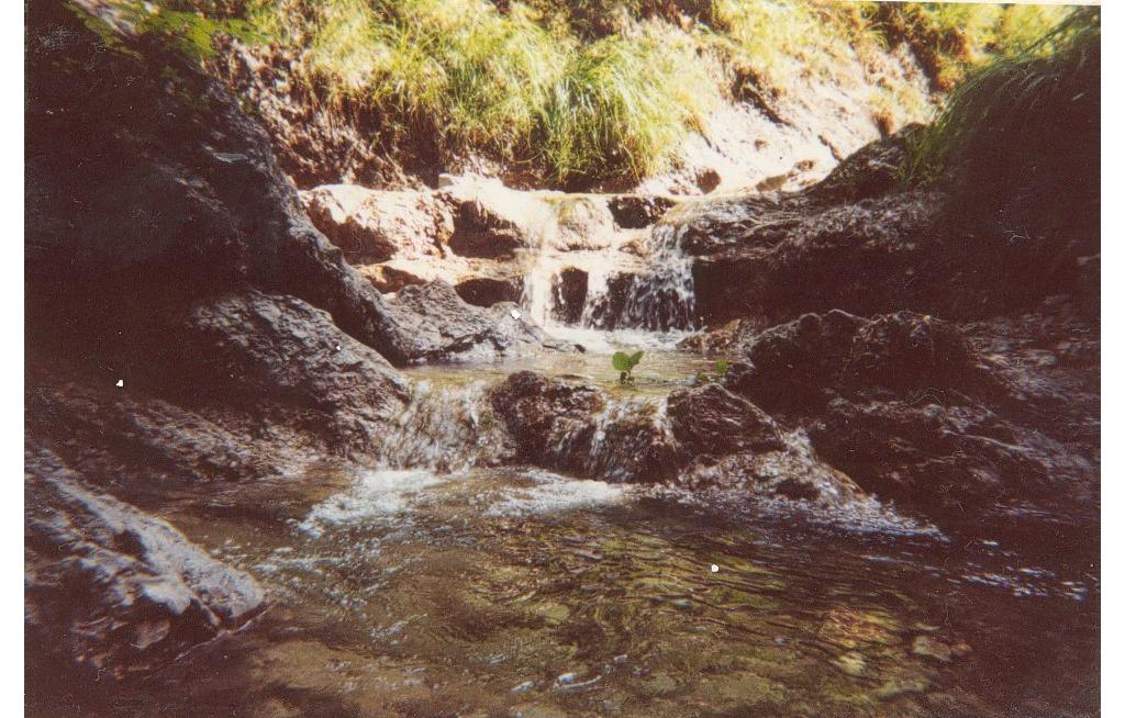 Fallendwasser nach Nixenfall