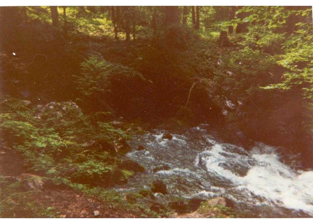 Waldbachursprung - Riesenquelle