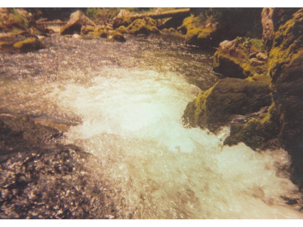 Gimbach - wasserfallabwärts
