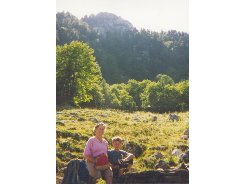 Blick zum Gipfel
