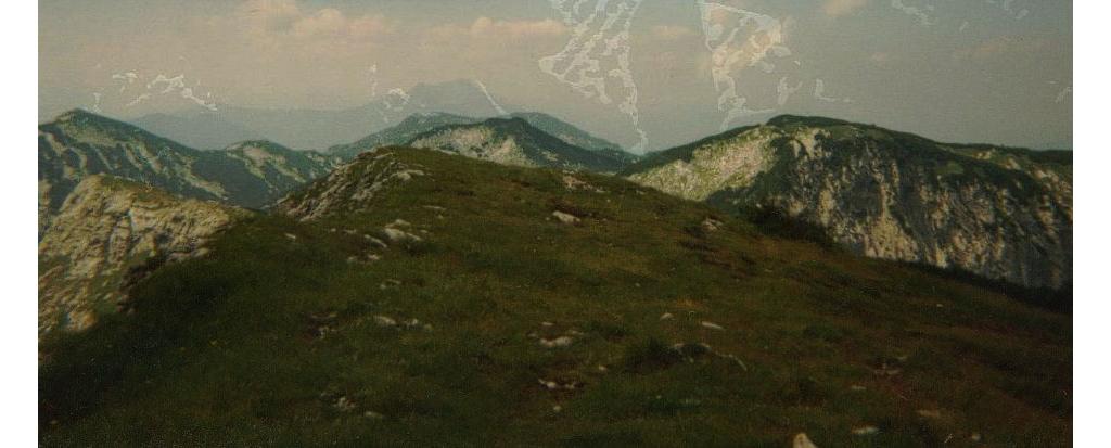 Hochleckenkogel und Schafberg