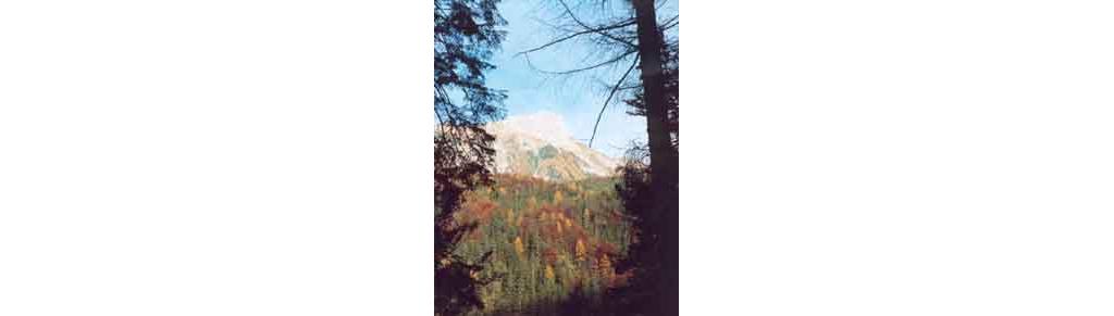 Fölzstein