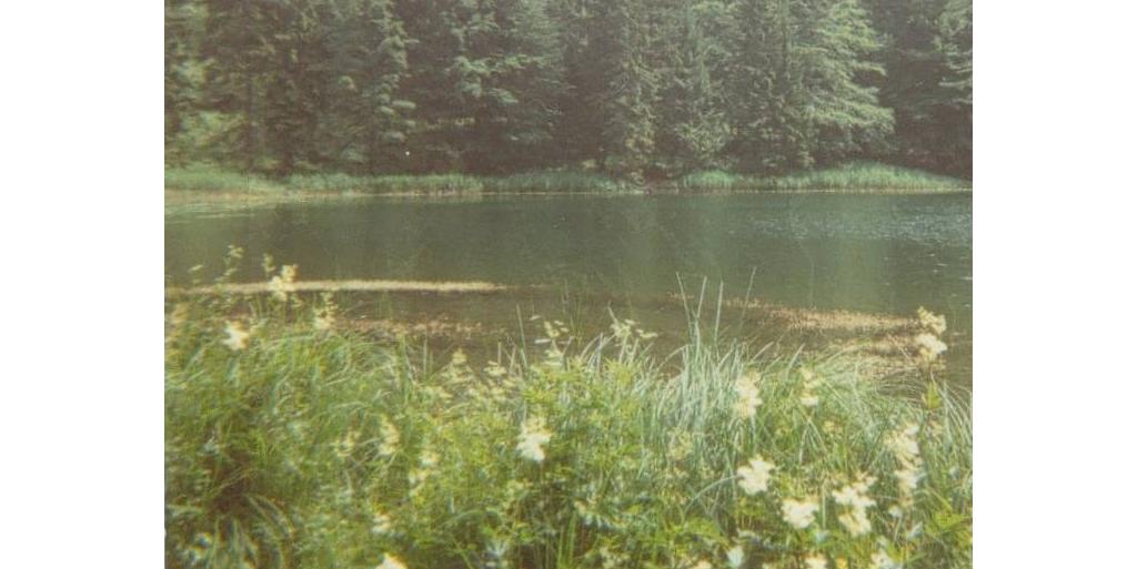 Filblingsee