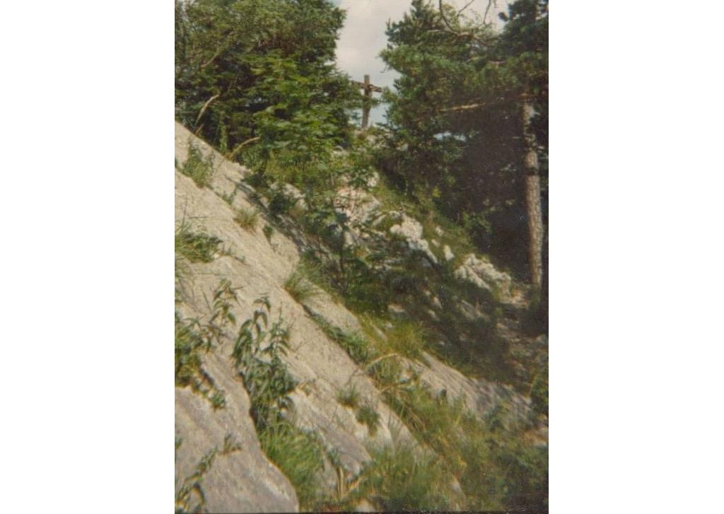 Blick zum Gipfelkreuz des Kl. Sonnsteins