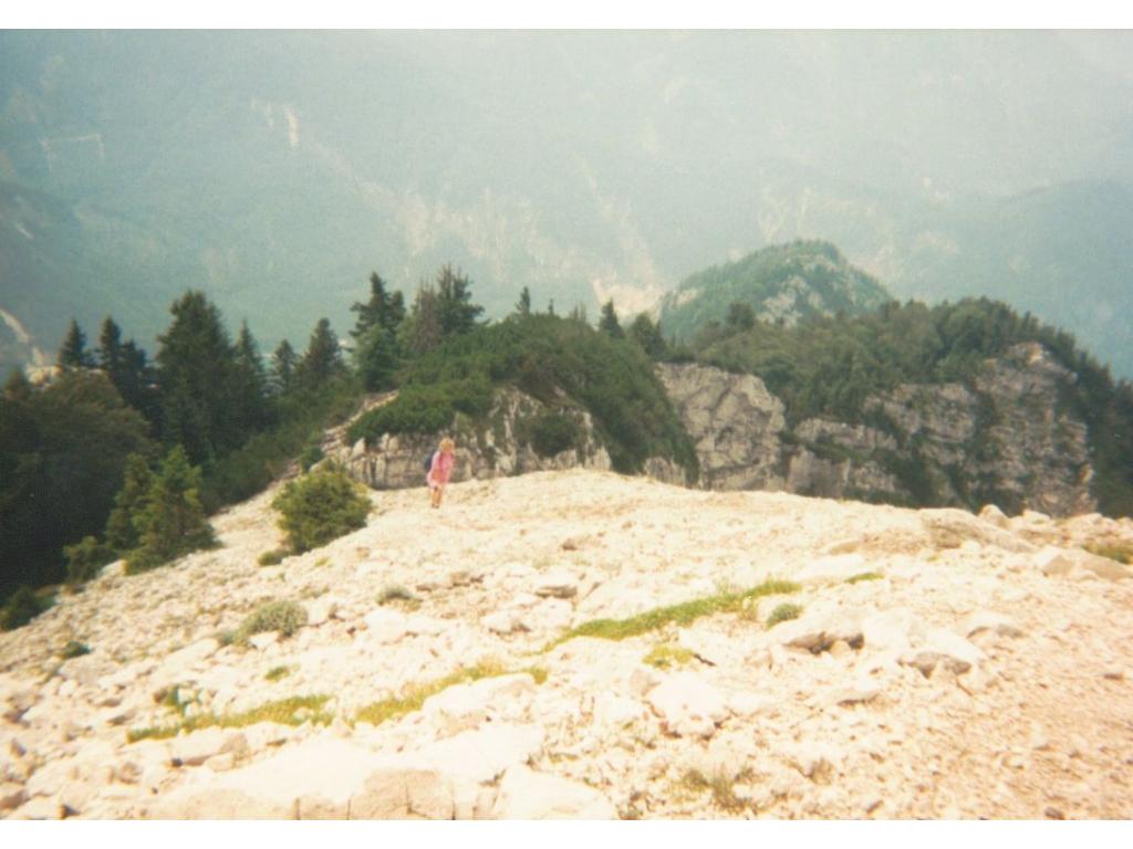 Mahdlschneid vor Brennerin - Blick nach Süden