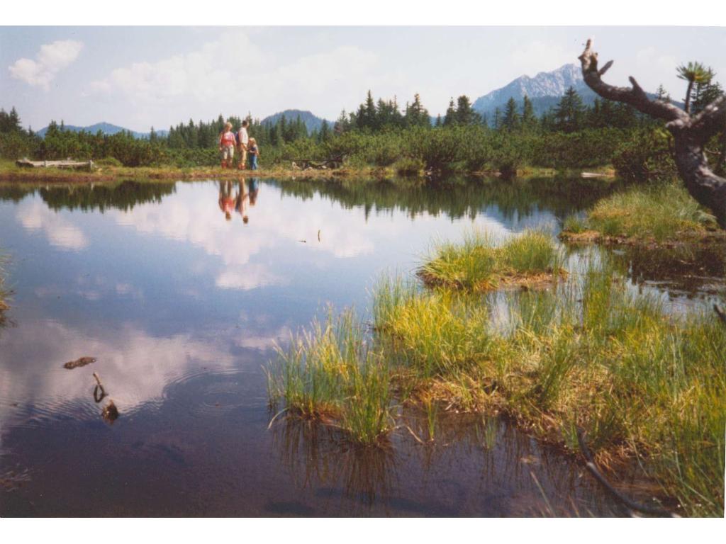 Blick nach Osten - Löckersee und Plassen