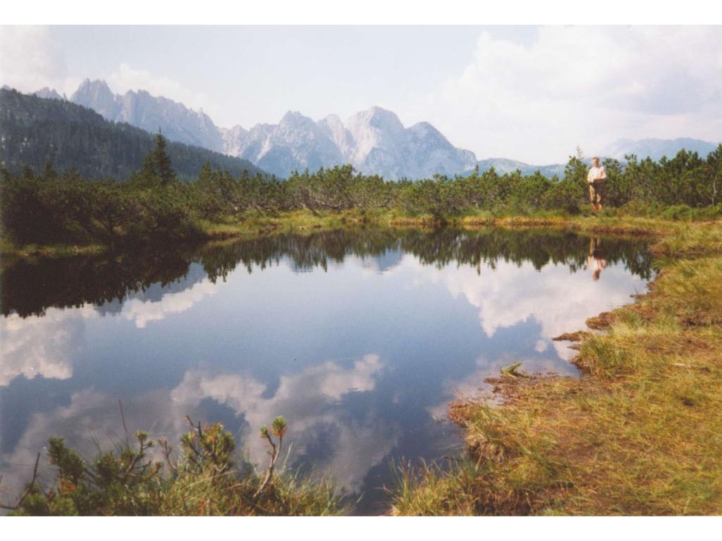 Blick nach Westen - Löckersee und Gosaukamm