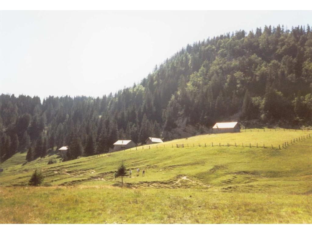Vordere Sandlingalm - Almhütten