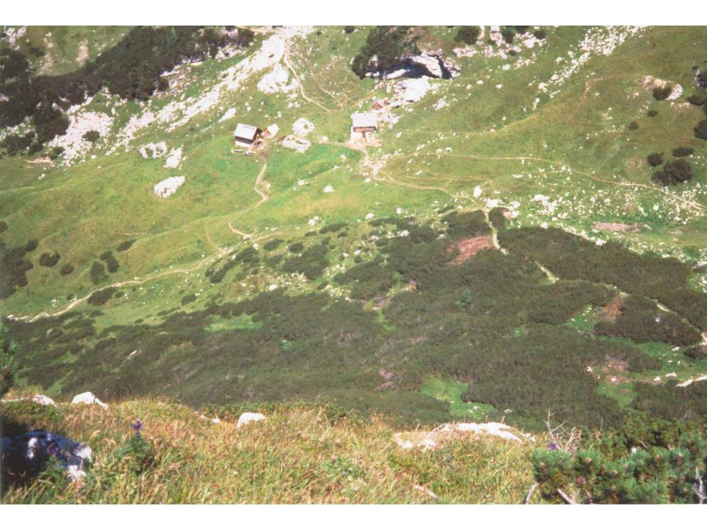 Blick hinab zur Sarsteinalm