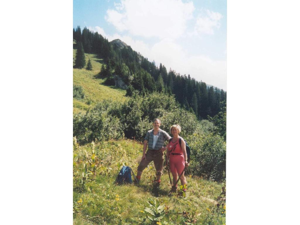 Blick zum Gipfel