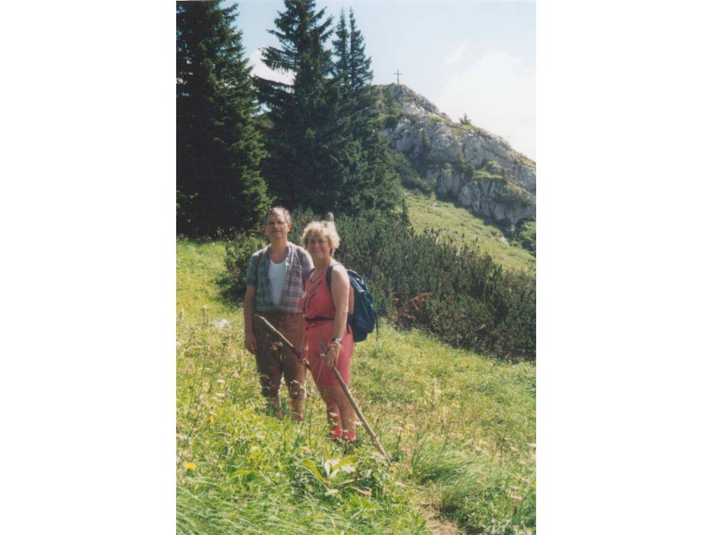 Blick zum Gipfel