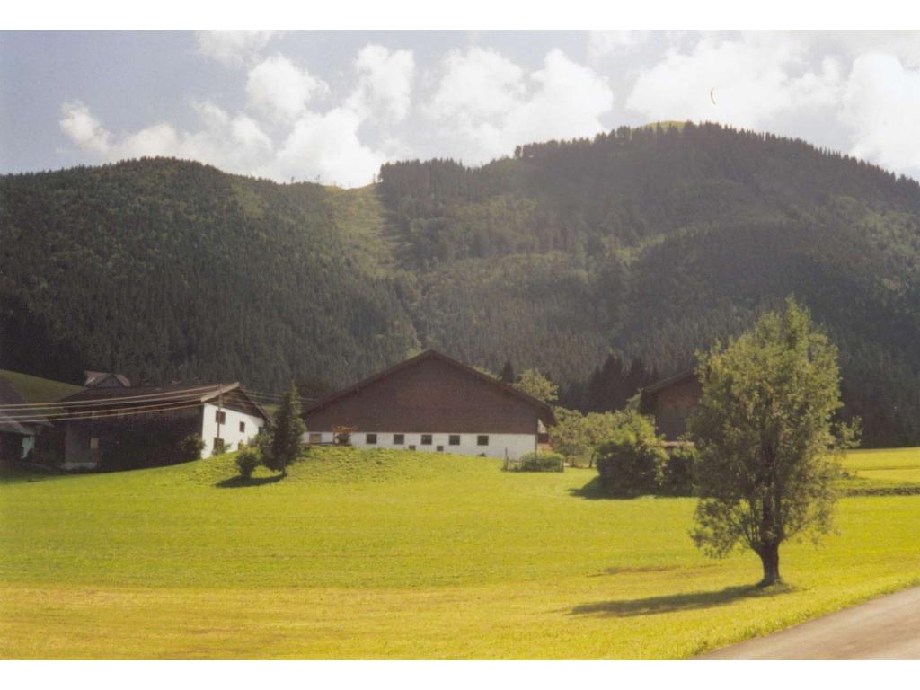 Blick zum Gipfel vom Döller