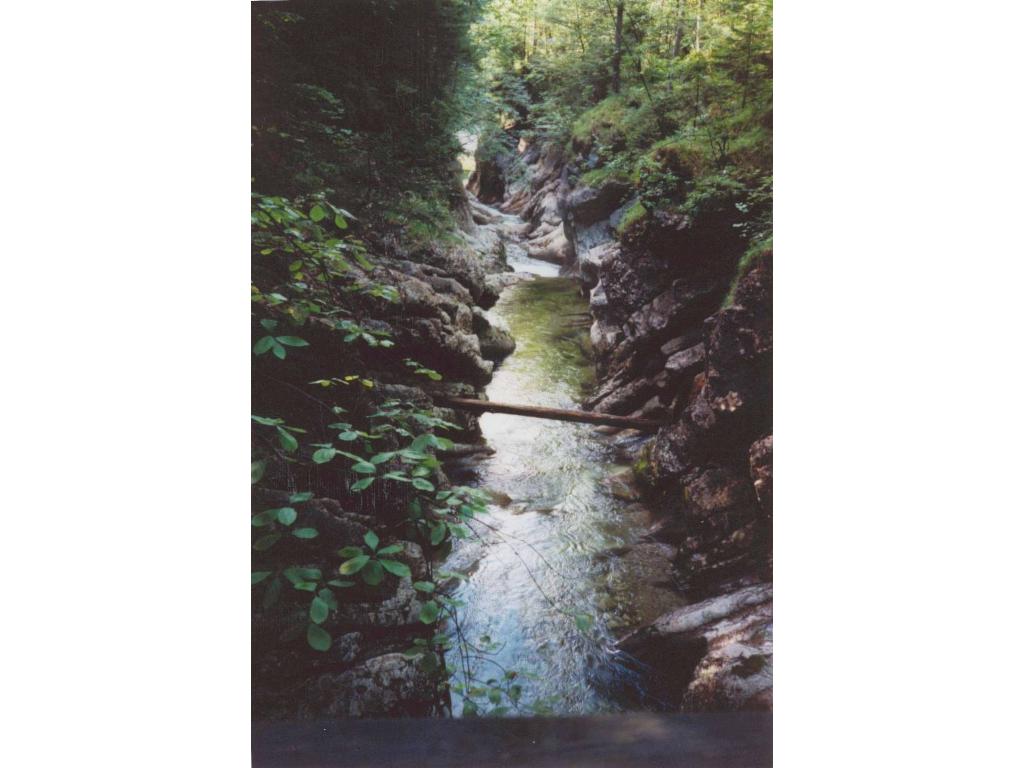 Rettenbachklamm bachabwärts