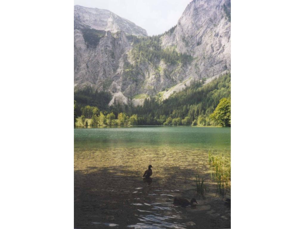 Hinterer Langbathsee - Schafluckensteig