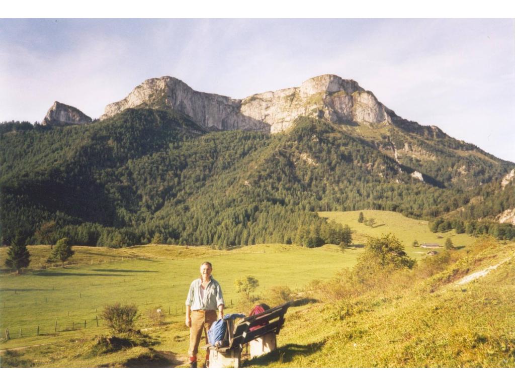 Schafberg von der Eisenauer Alm