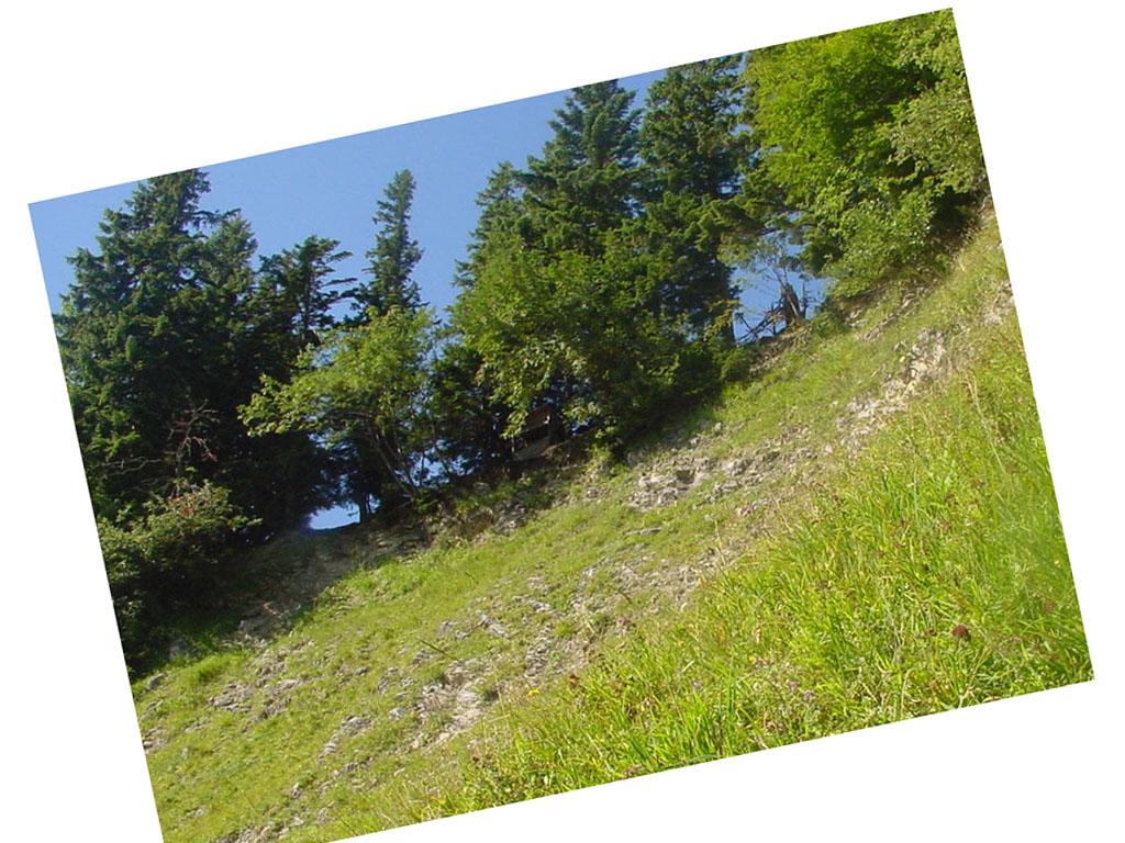 Gefährlicher Aufstieg