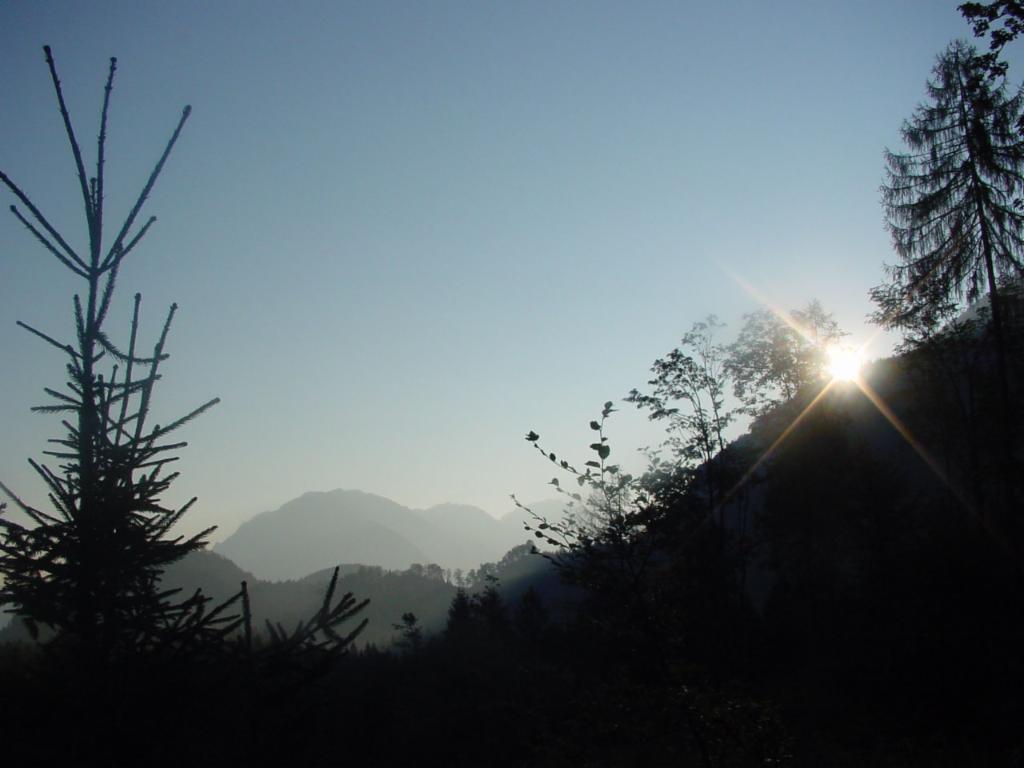 Morgenstimmung