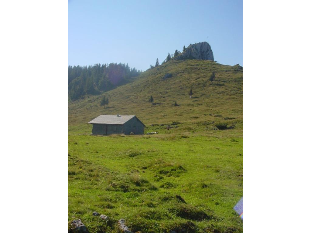 Vormaueralm mit Gipfel