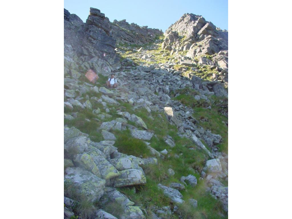 Über den Nordgrat zum Gr. Grießstein