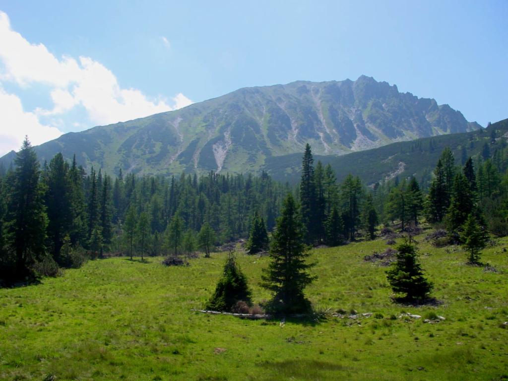 Blick von der Rauchaufalm zum Kl. Grießstein