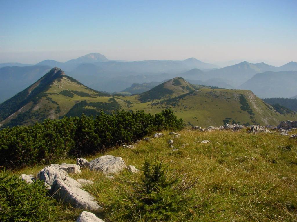 Hochstadl-Plateau, im Hintergrund der Ötscher