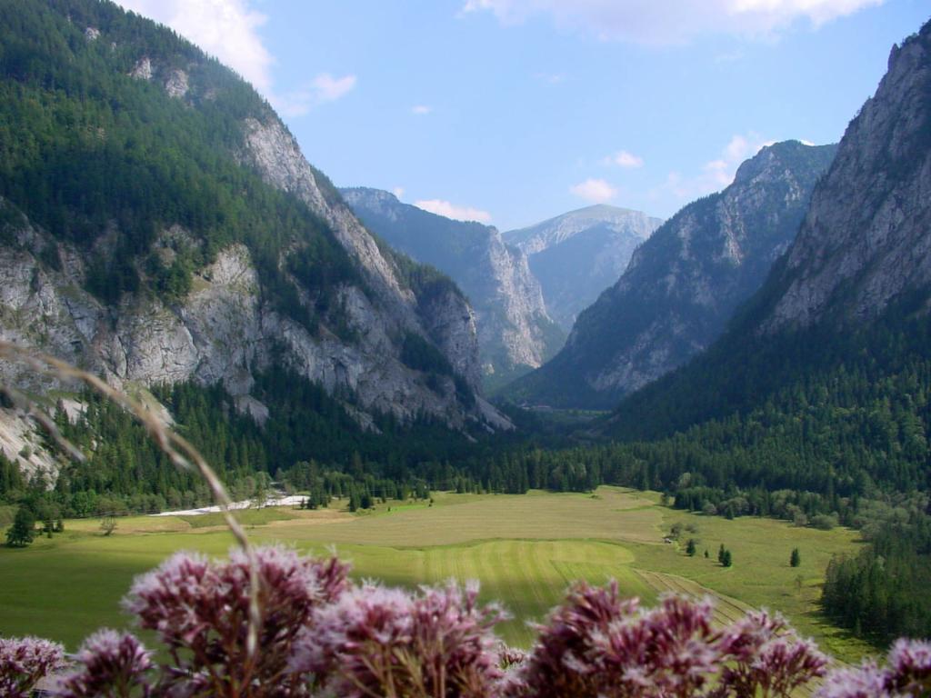 Blick oberhalb von Rotmoos hinaus ins Salzatal, im Hintergrund der Hochweichsel
