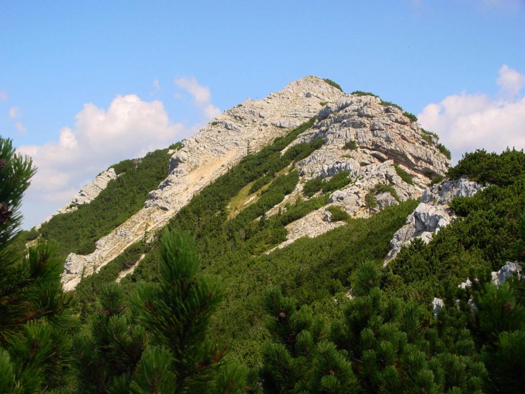 Gipfelaufbau des Fadenkamp