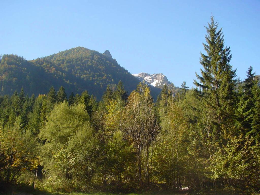 Blick von Schindlbach in Richtung Jausenkogel und Schwalbenmauer