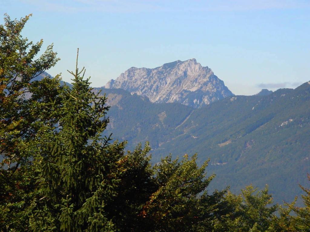 Blick Richtung Traunstein