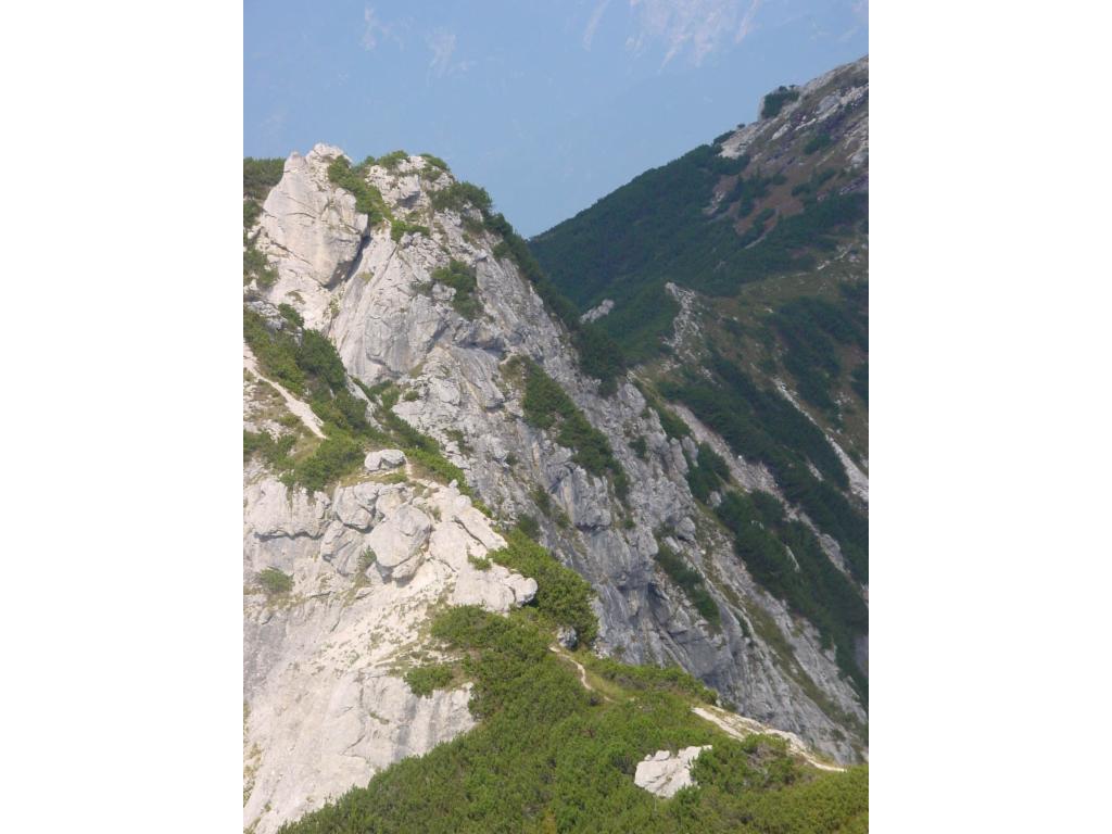 Blick zurück zur Platte