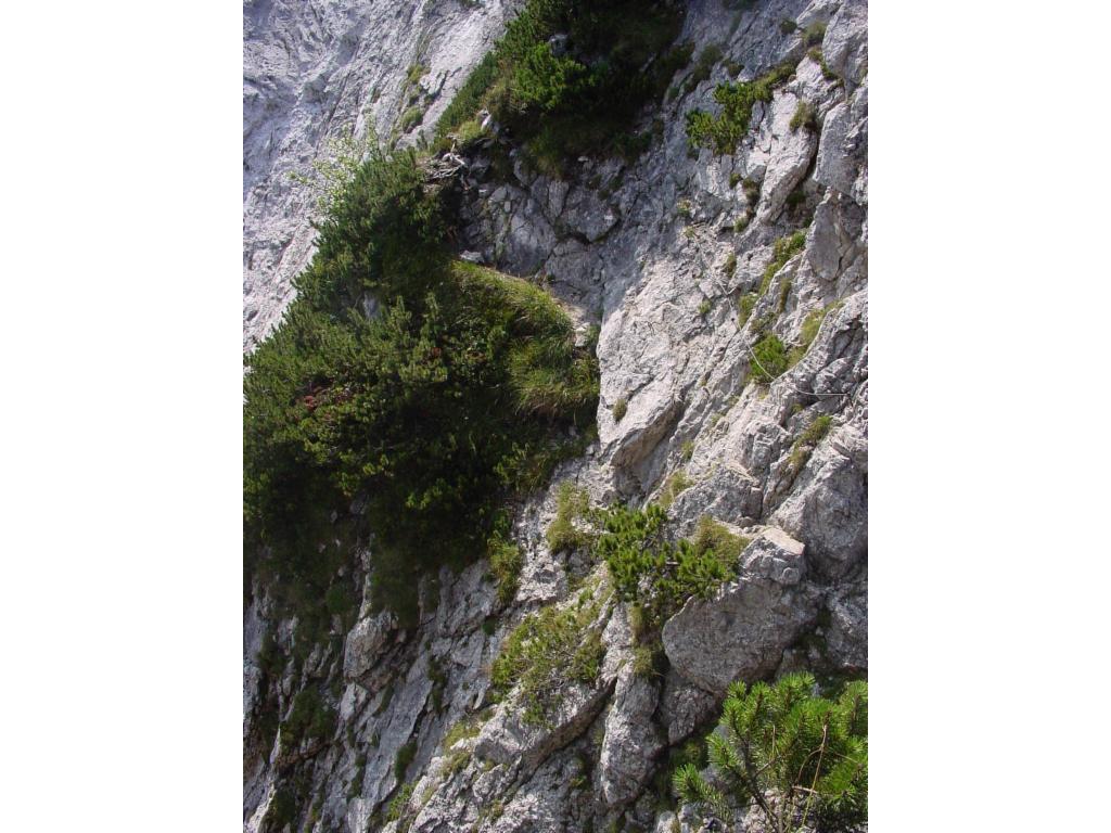 Die Querung in der Scharte