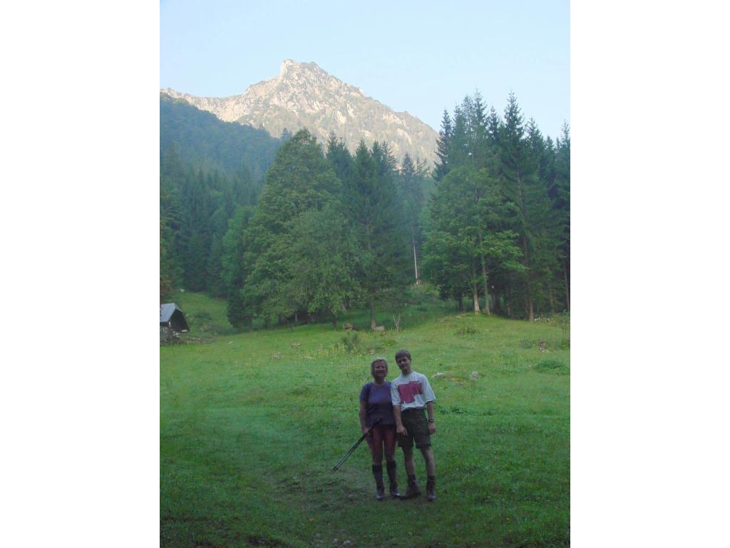 Rettenkogel von der Schöffaualm
