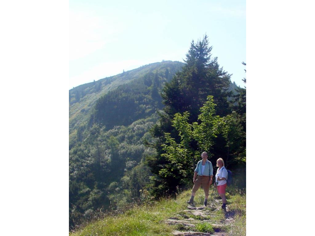 Beim Aufstieg zum Schlenken