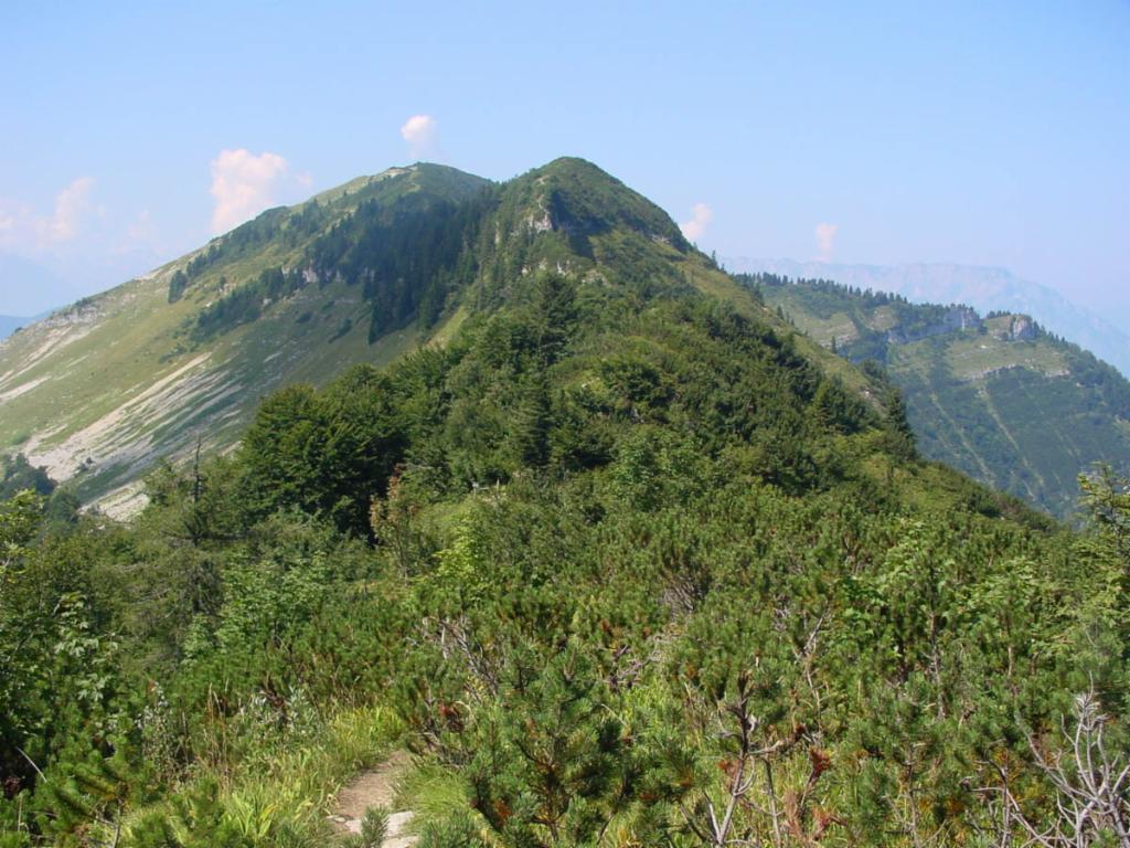 Blick zurück zum Schlenken