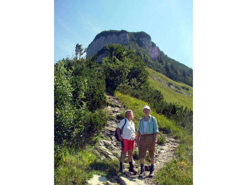 Blick zum Schmittenstein
