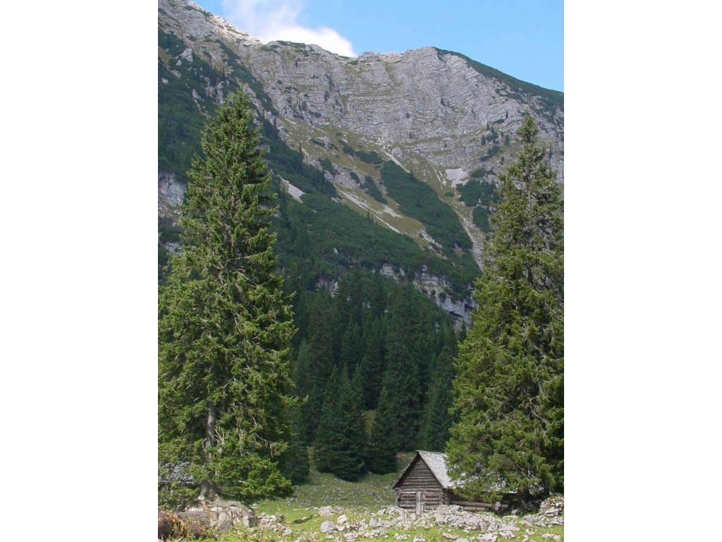 Schafplan-Aufstieg