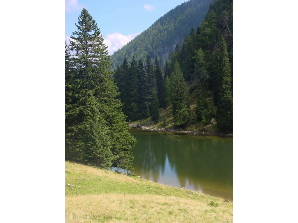Sulzkarsee