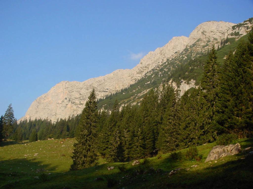 Erster Blick auf die Zinödl-Südwände von der Sulzkaralm