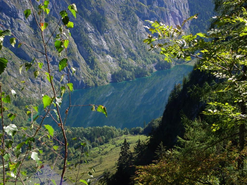 Obersee vom Sagerecksteig