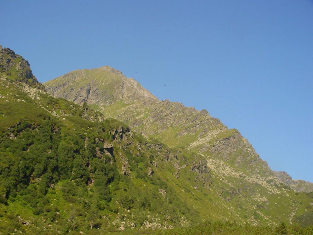 Blick zum Grat
