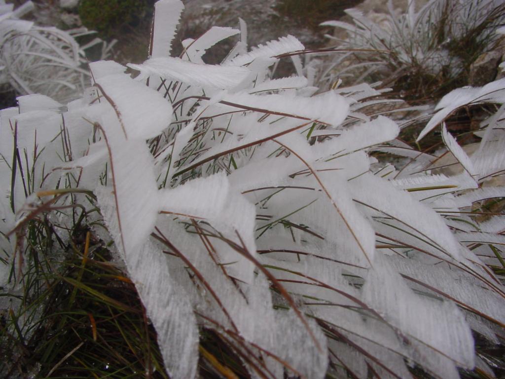 Lange Eiskristalle