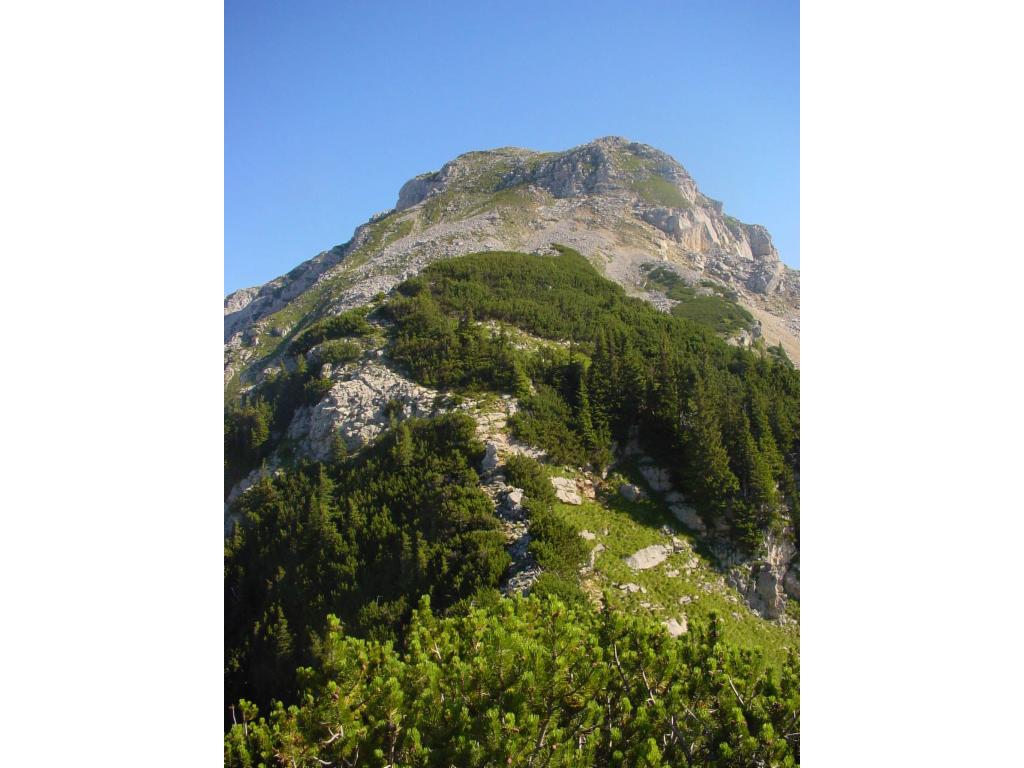 Blick vom Grat zum Gipfel