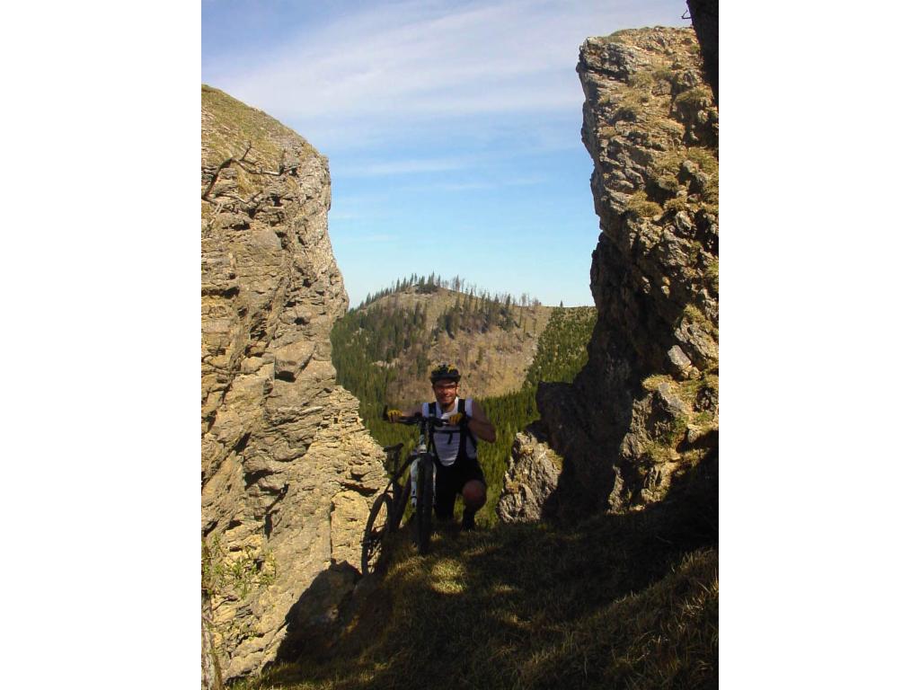 Die Nordabstürze der Reisalpe