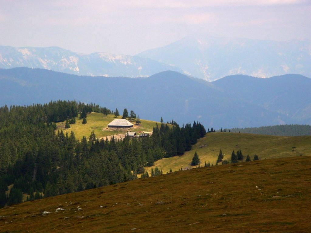 Geiereckalm und Schneeberg