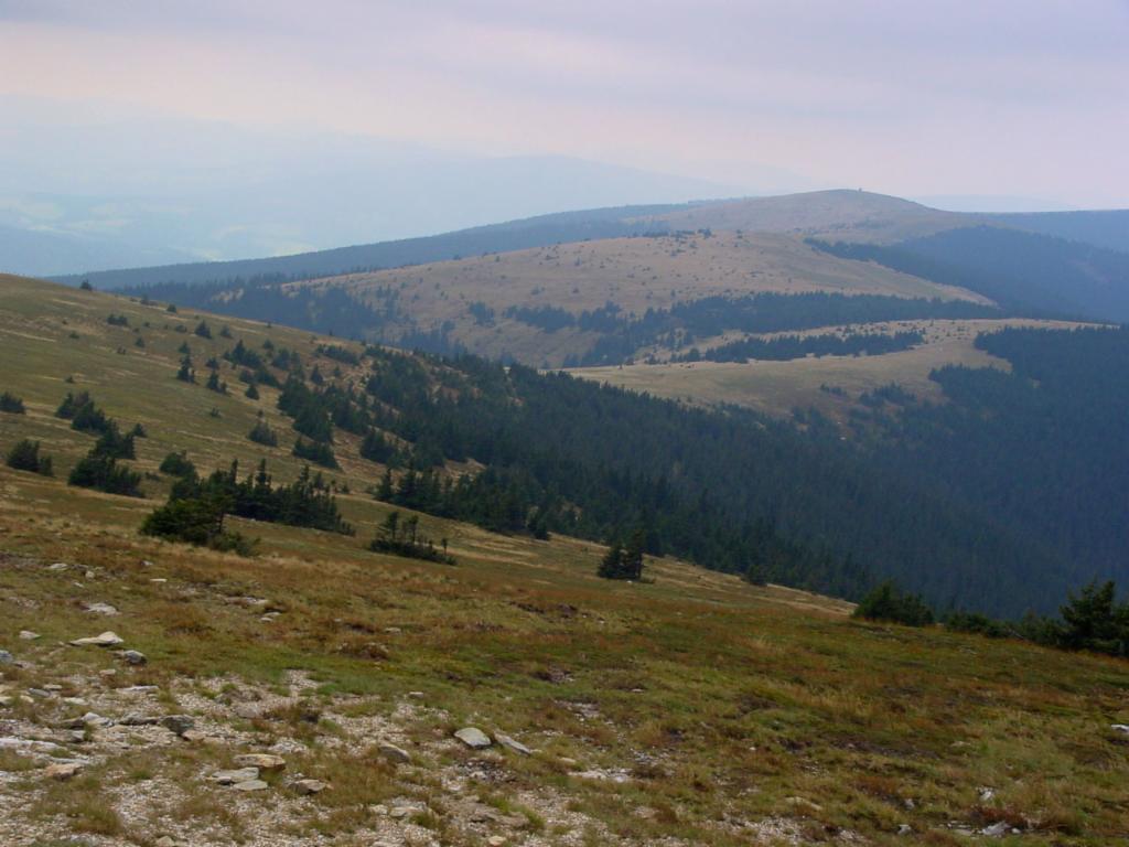 ... und weiter gehts ueber den Höhenweg zum Pretul