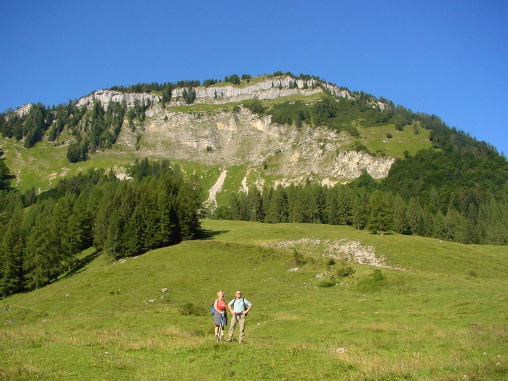 Blick von der Schartenalm zum Gipfel 