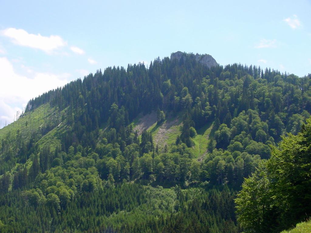 Almstein von der Ebenforstalm