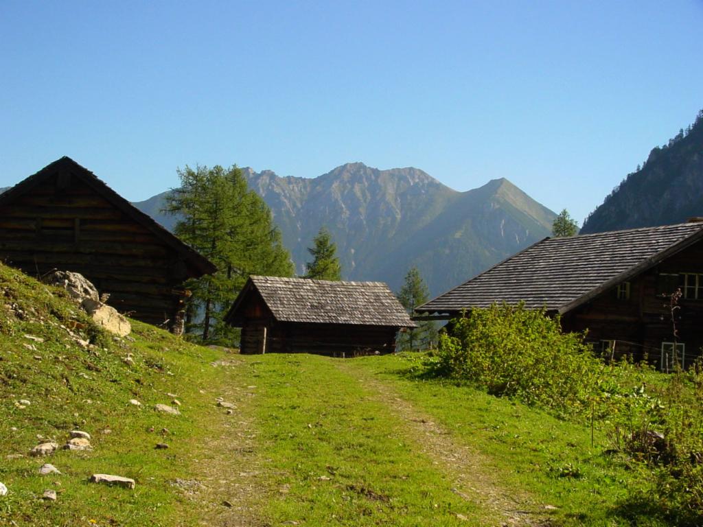 Ursprungalm mit Steinfeldspitze im Hintergrund
